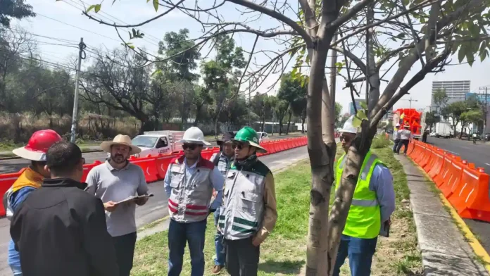 Línea 5 del Mexibús